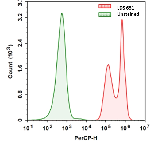 核酸染料 LDS 651    货号17566