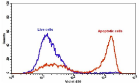 Annexin V-iFluor 555标记    货号20072