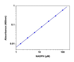 Amplite NADPH检测试剂盒(比色法)   货号15272