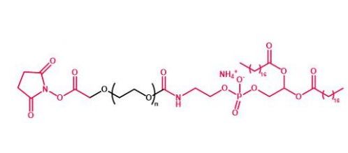 磷脂聚乙二醇活性酯 DSPE-PEG-NHS