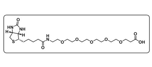 Biotin-PEG5-Acid；2252330-85-9