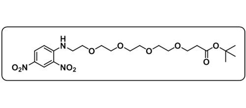 DNP-PEG4-COOtBu；1817735-31-1