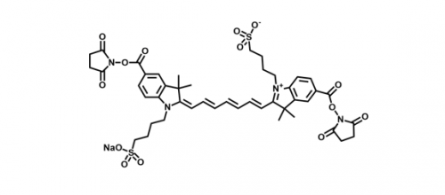 diSulfo-Cy7 Bis-NHS ester/水溶性Cy7 Bis-NHS