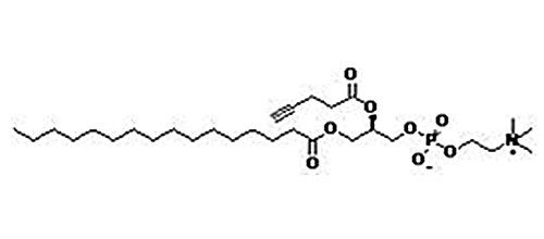 1-棕榈酰基-2-炔丙基乙酰酰磷脂酰胆碱，1353897-91-2