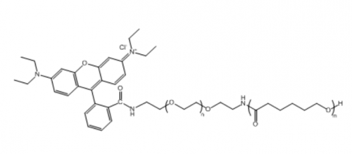 聚己内酯聚乙二醇罗丹明 PCL-PEG-RB