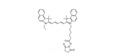 Cyanine5.5 NHS Ester/Cy5.5 NHS Ester(Ethyl)