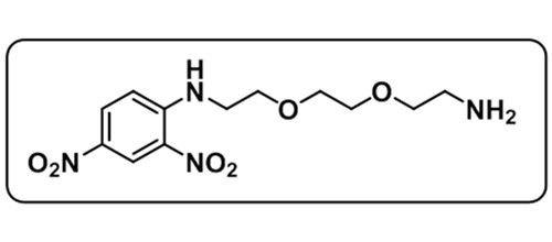 Amine-PEG2-DNP