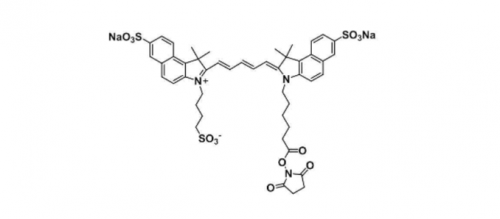 trisulfo-Cy5.5 NHS ester/水溶性Cy5.5 NHS ester