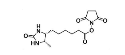 Desthiobiotin NHS Ester