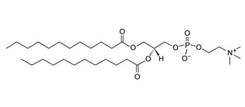 1,2-二十二酰基-sn-glycero-3-胆碱磷酸(DLPC)，18194-25-7