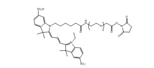 Cy3-PEG-NHS ester