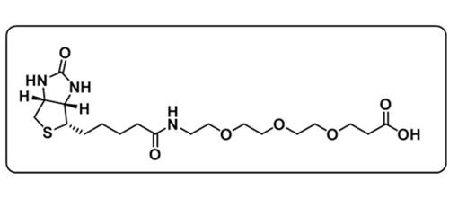 Biotin-PEG3-Acid；252881-76-8