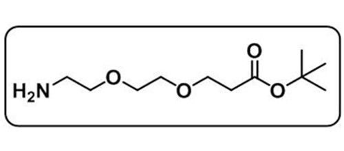 Amine-PEG2-COOtBu，756525-95-8