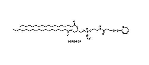 DSPE-PDP,144735-79-5