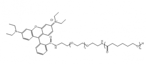 聚己内酯聚乙二醇罗丹明 PCL-PEG-RB