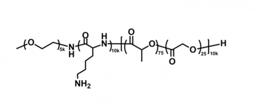 甲氧基聚乙二醇-聚赖氨酸-聚（D，L-丙交酯-co-乙交酯）共聚物 mPEG-PLL-PLGA