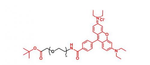 叔丁酯聚乙二醇罗丹明 COOtBu-PEG-RB