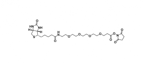 Biotin-PEG4-NHS ester