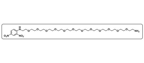 Amine-PEG12-DNP