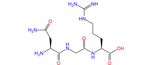 NGR Asn-Gly-Arg