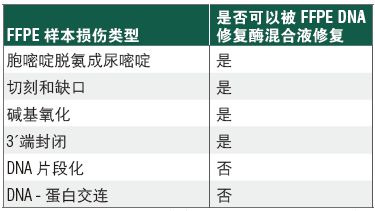 NEBNext FFPE DNA 修复混合液            货   号                  #M6630L