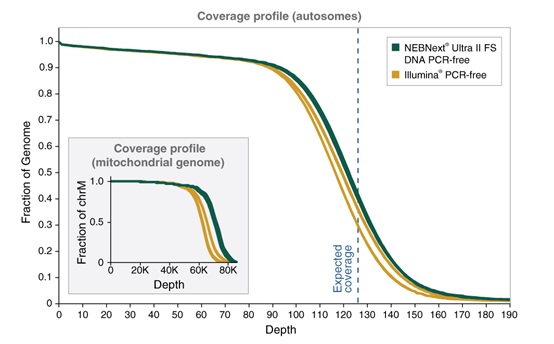 NEBNext® Ultra™ II FS DNA PCR-free 文库制备试剂盒 - 含片段化酶（含纯化磁珠）            货   号                  #E7435L