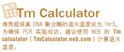 Phusion® 超保真 PCR 预混液（提供 HF 缓冲液）                 货   号                  #M0531L