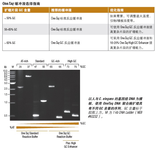 OneTaq® 热启动 2X 预混液（提供 GC 缓冲液）                  货   号                  #M0485L