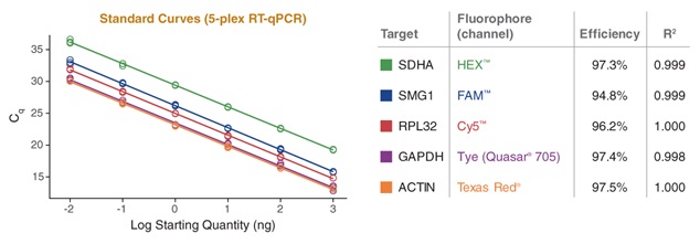 LyoPrime Luna™ 探针一步法 RT-qPCR 预混冻干粉（含 UDG）            货   号                  #L4001S