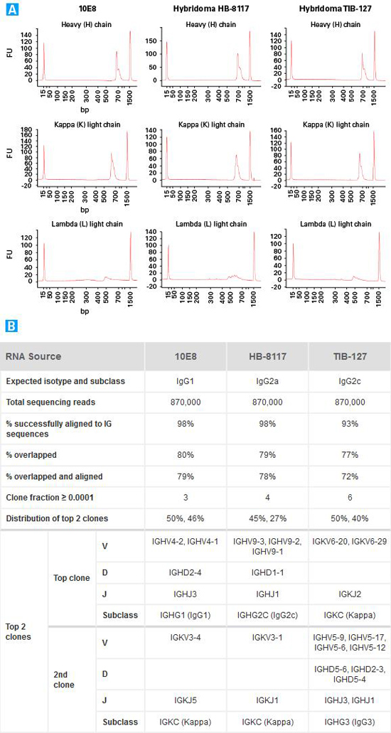 Clontech                      634422           SMARTer&reg; Mouse BCR IgG H/K/L Profiling Kit            12 Rxns