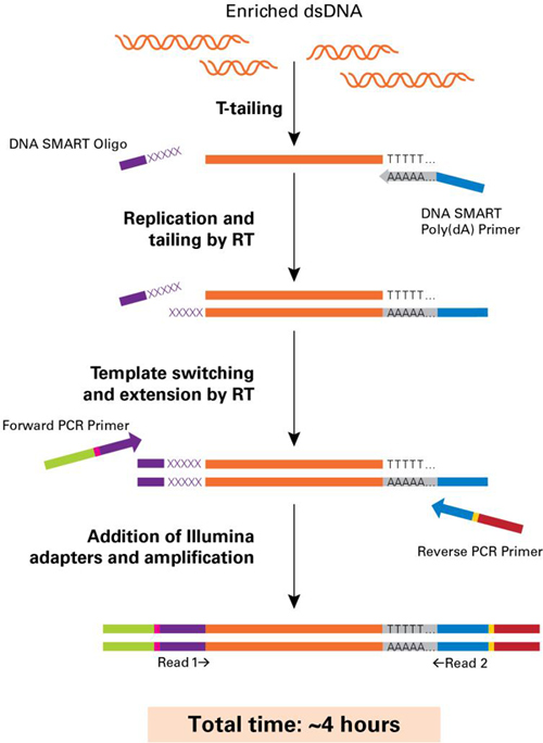 Clontech                      635023           EpiXplore Meth-Seq DNA Enrichment Kit            12 Rxns