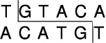 Takara                      1107A           Bsp1407 I            300 U            ￥391 ￥293                          Takara                      1107B (A × 5)           Bsp1407 I            300 U × 5