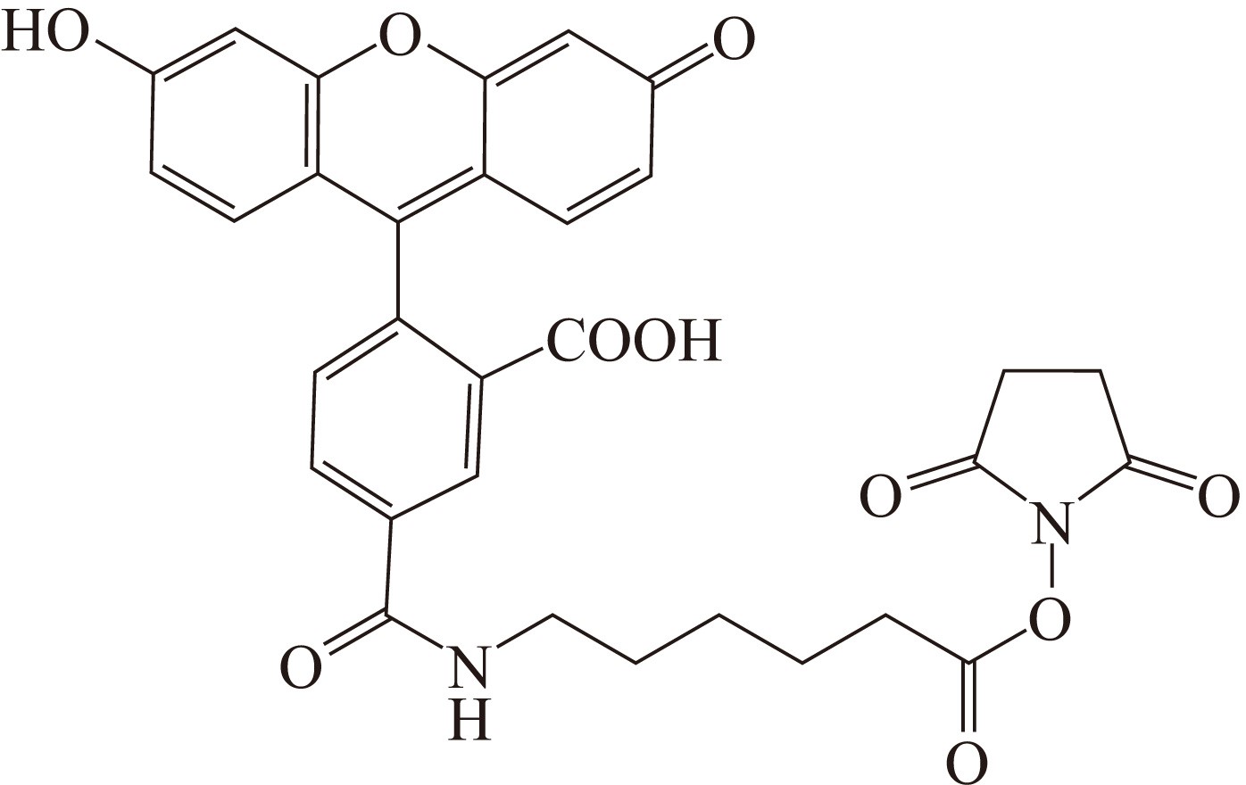 5-FAM SE（5-羧基荧光素琥珀酰亚胺酯） 货号:               F5053  规格:               5 mg