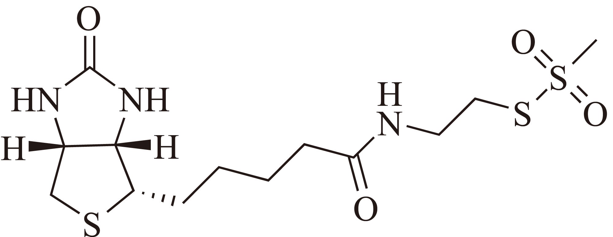 MTSEA Biotin-X（MTSEA生物素-X） 货号:               M5036  规格:               10 mg