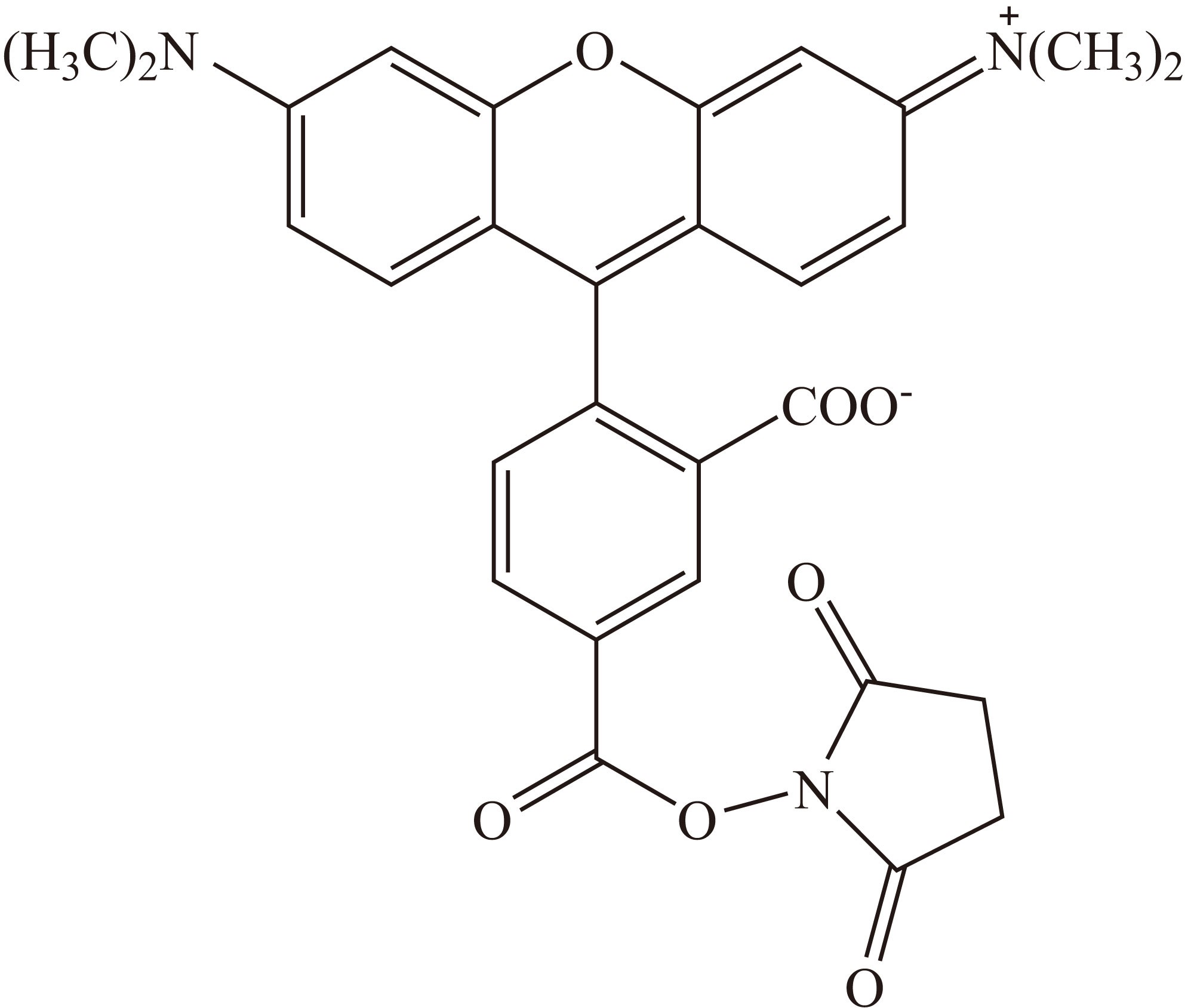 5(6)-TAMRA, SE（5(6)-TAMRA 琥珀酰亚胺酯） 货号:               T5047  规格:               25 mg