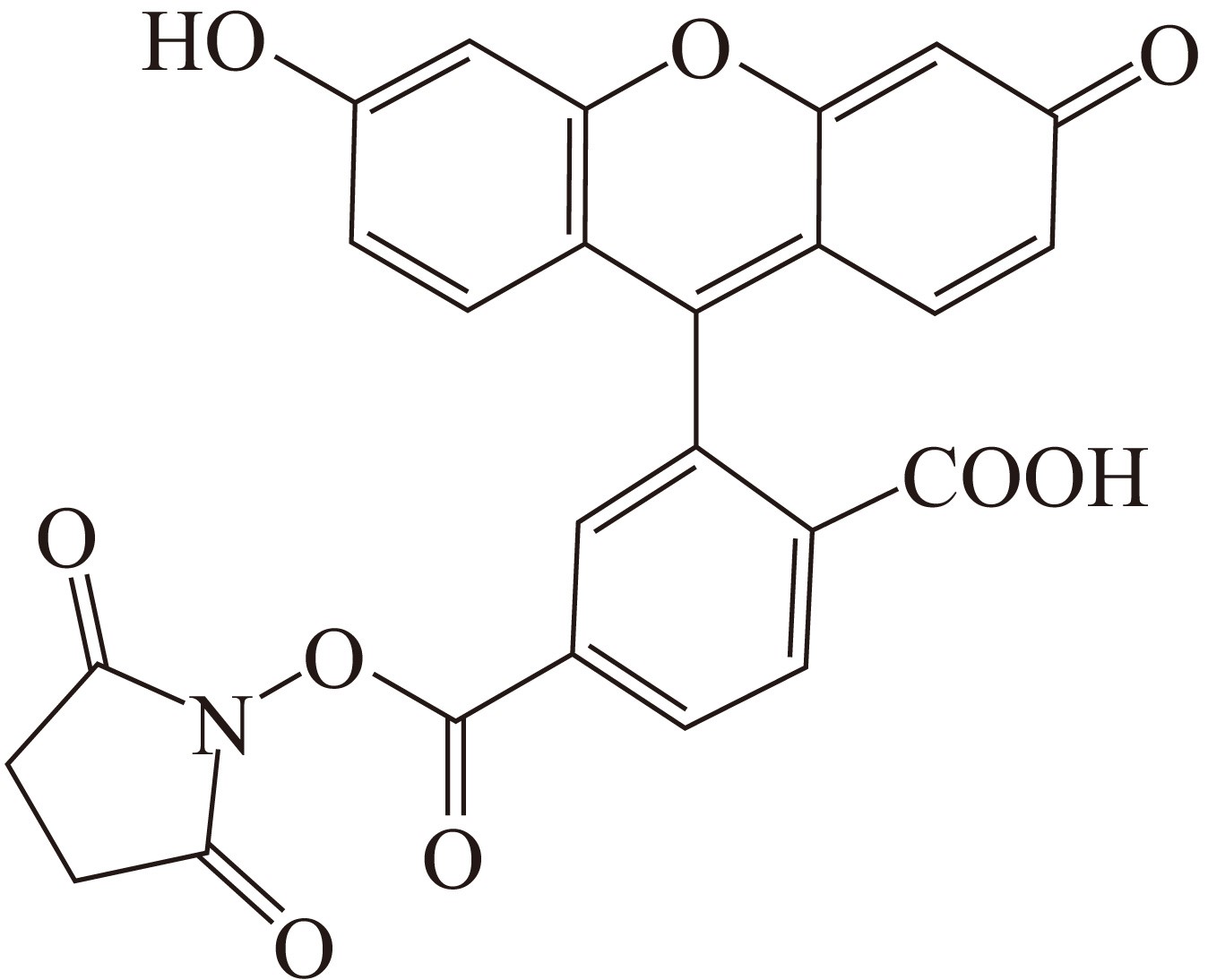 6-FAM SE（6-羧基荧光素琥珀酰亚胺酯） 货号:               F5056  规格:               5 mg