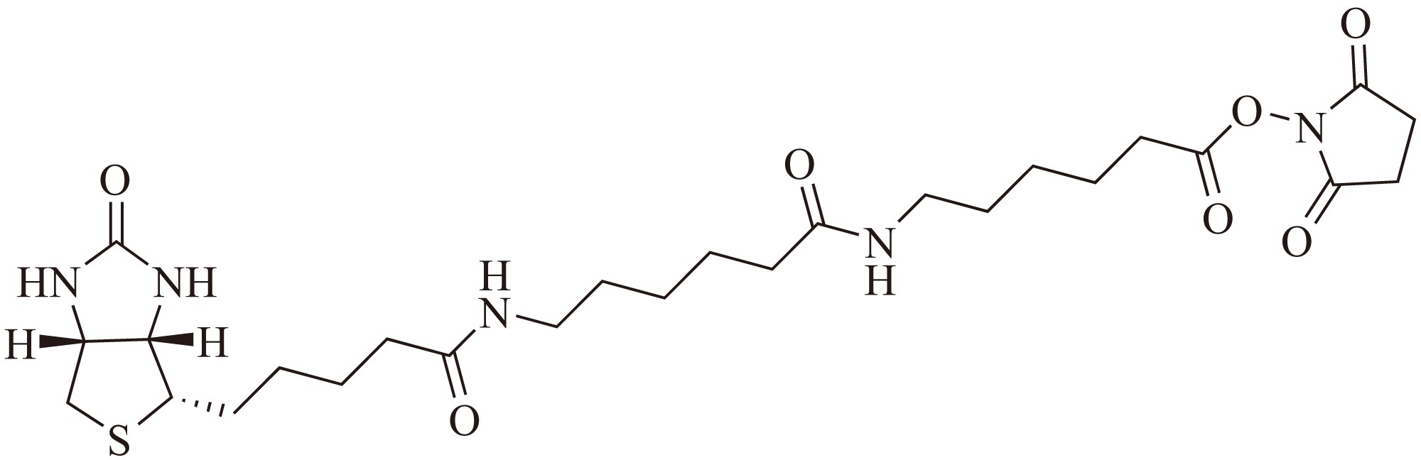 Biotin-XX SE（生物素-XX 琥珀酰亚胺酯） 货号:               B5063  规格:               10 mg