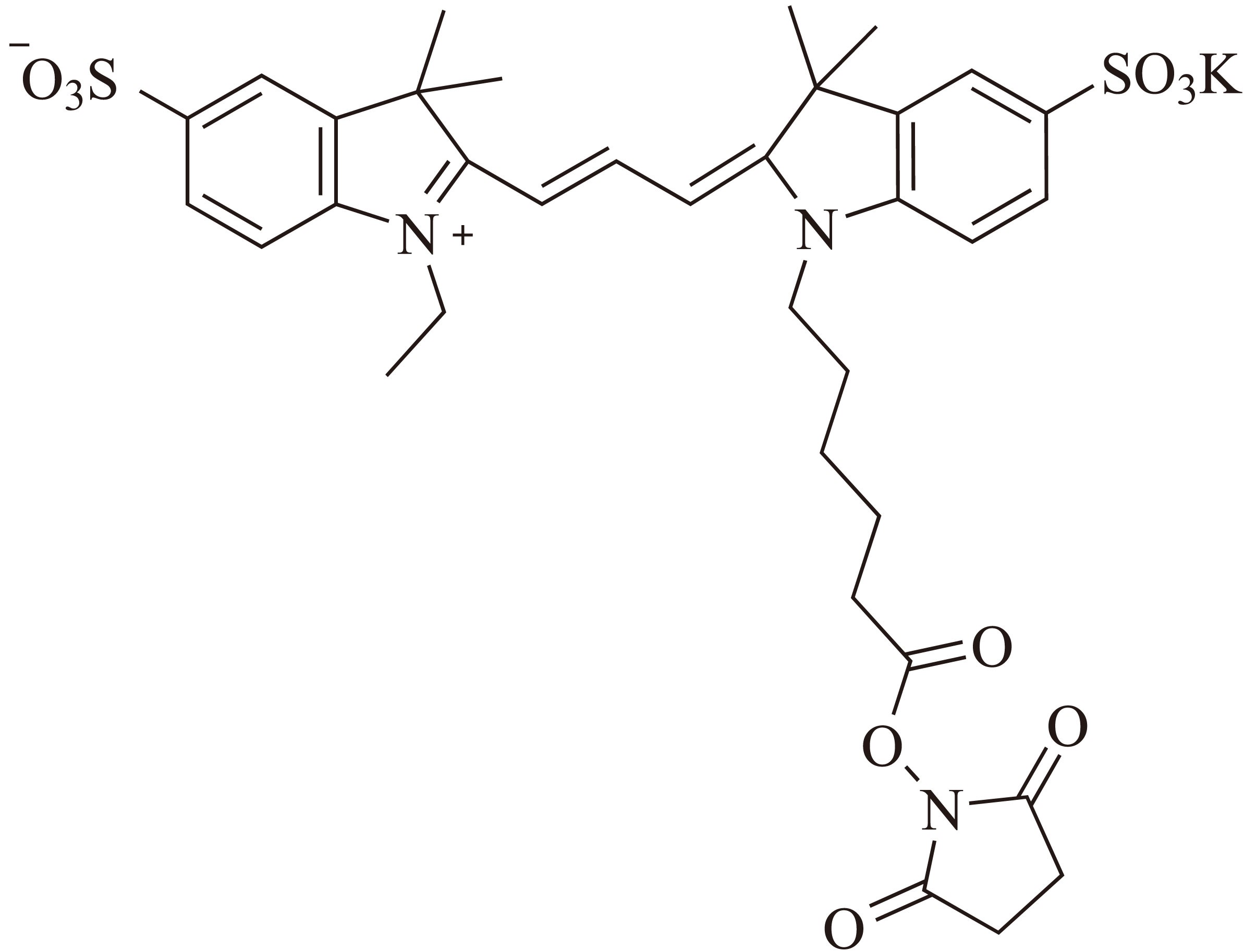 Sulfo-Cy5.5-E SE（Sulfo-Cy5.5-E 琥珀酰亚胺酯） 货号:               C5072  规格:               1mg