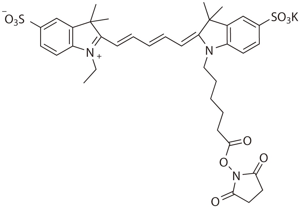 Sulfo-Cy5.5-E SE（Sulfo-Cy5.5-E 琥珀酰亚胺酯） 货号:               C5072  规格:               1mg