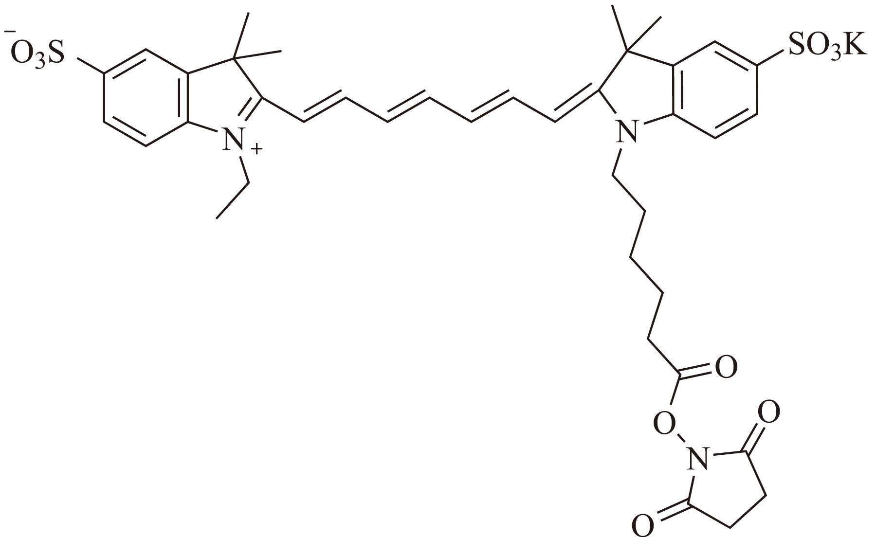 Sulfo-Cy5.5-E SE（Sulfo-Cy5.5-E 琥珀酰亚胺酯） 货号:               C5072  规格:               1mg