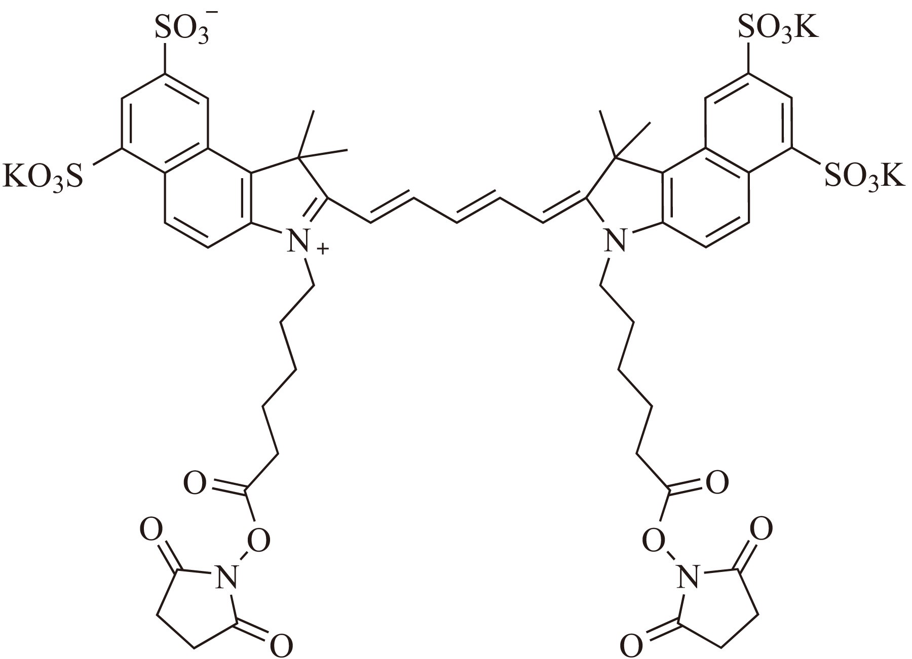 Sulfo-Cy5.5-E SE（Sulfo-Cy5.5-E 琥珀酰亚胺酯） 货号:               C5072  规格:               1mg