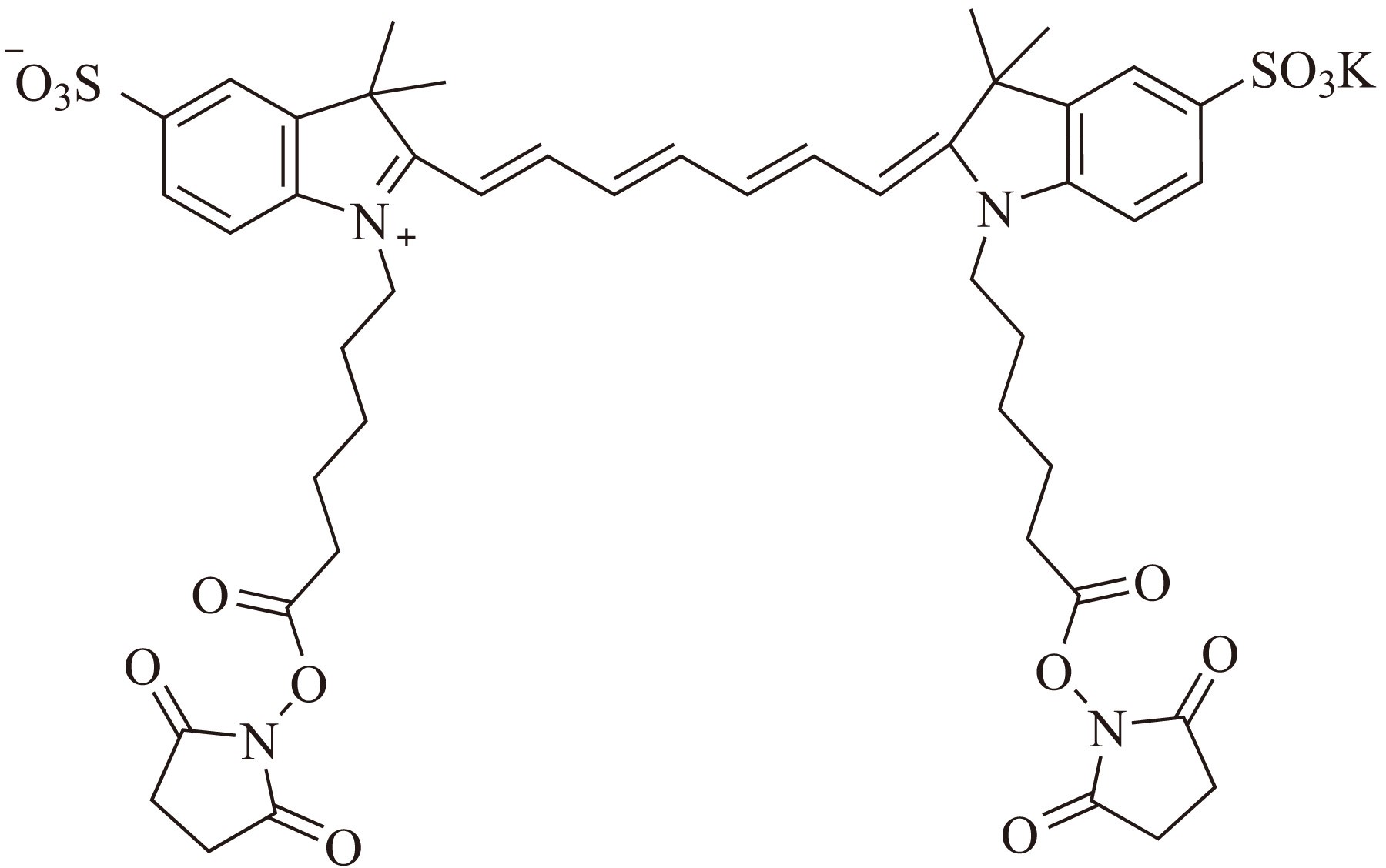 Sulfo-Cy5.5-E SE（Sulfo-Cy5.5-E 琥珀酰亚胺酯） 货号:               C5072  规格:               1mg