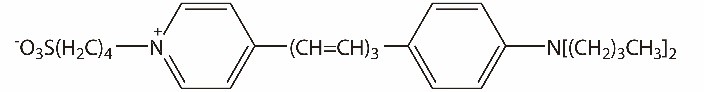 RH237膜电位荧光探针 货号:               R4025  规格:               5 mg